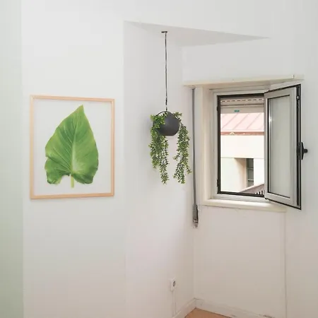 אכסניה Travel & Live Marques