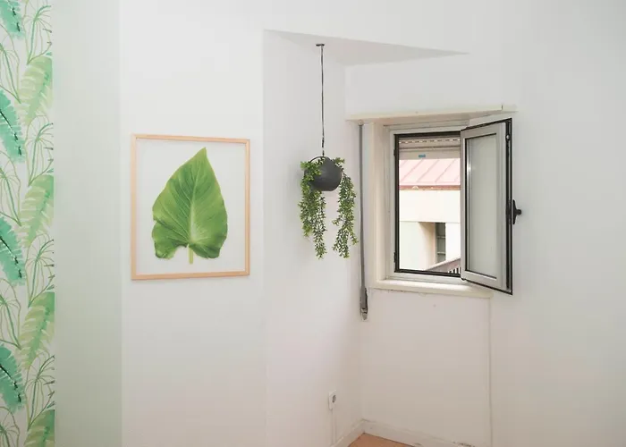 Hostel Travel & Live Marques