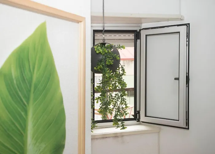 Albergue Travel & Live Marques Porto